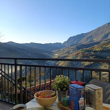 Elsuenodecelia Riosa